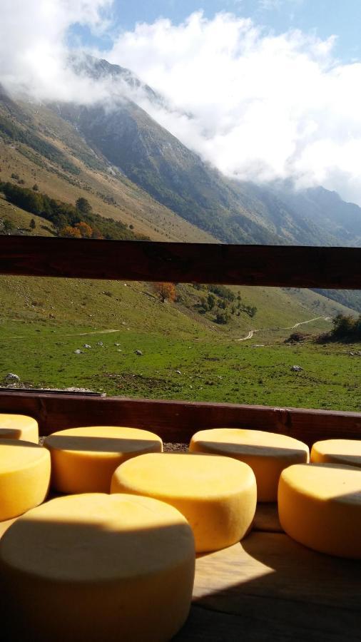 Tourist Farm Zvanc Kobarid Luaran gambar
